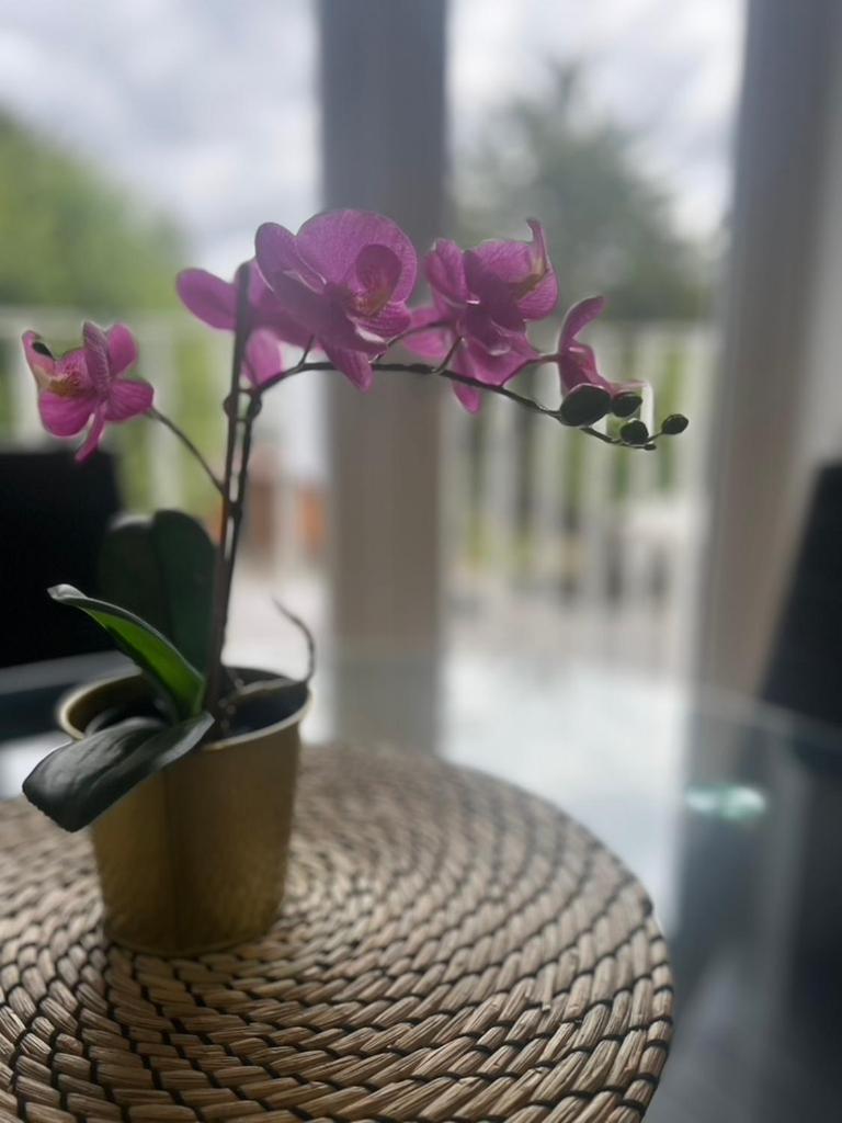 Zenobia London Luxury Apartments フィンチリー エクステリア 写真